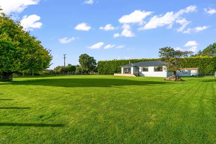 23 Tussock Creek Grove Bush Road Grove Bush_16