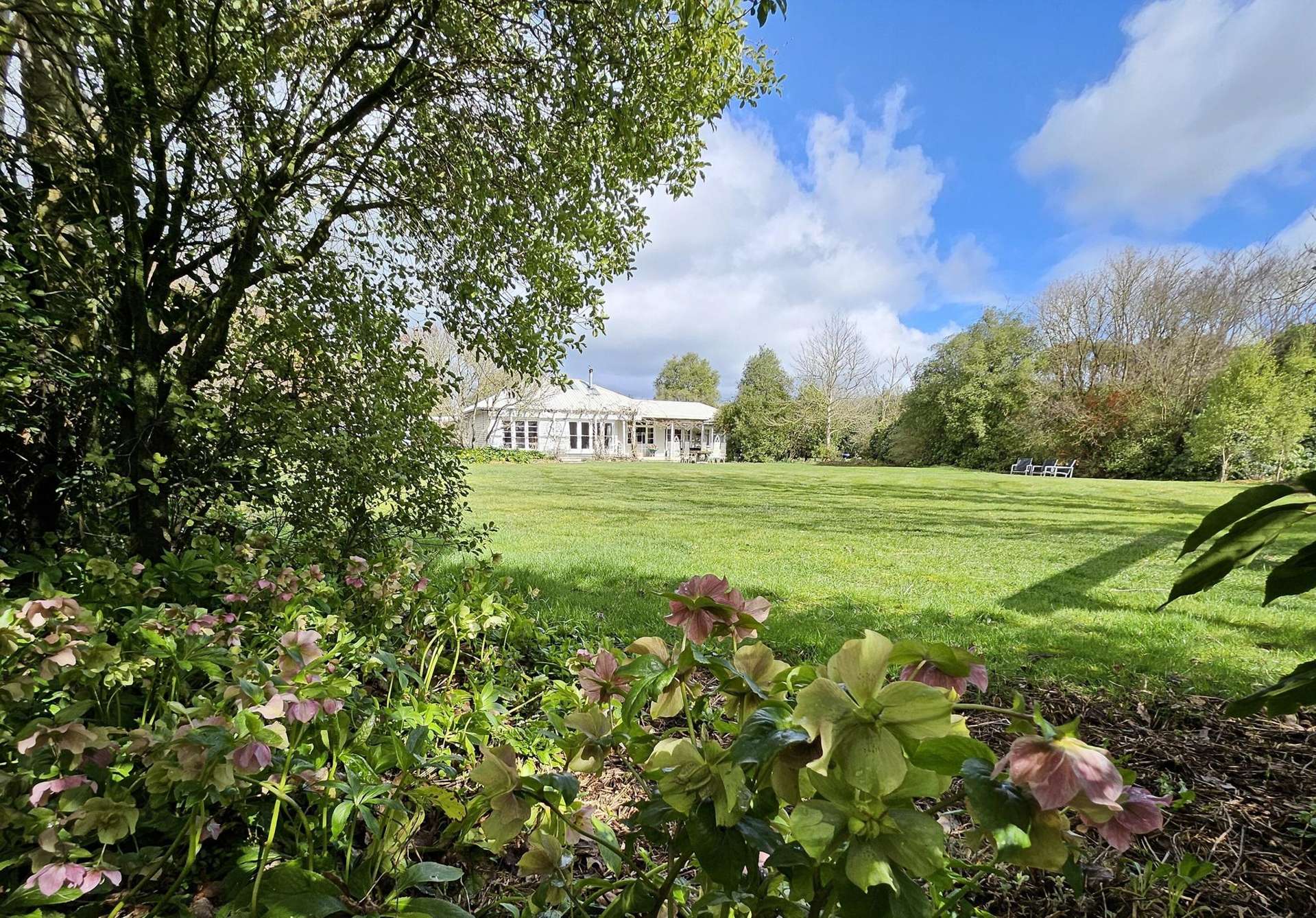 638 Oxford Road Fernside_0