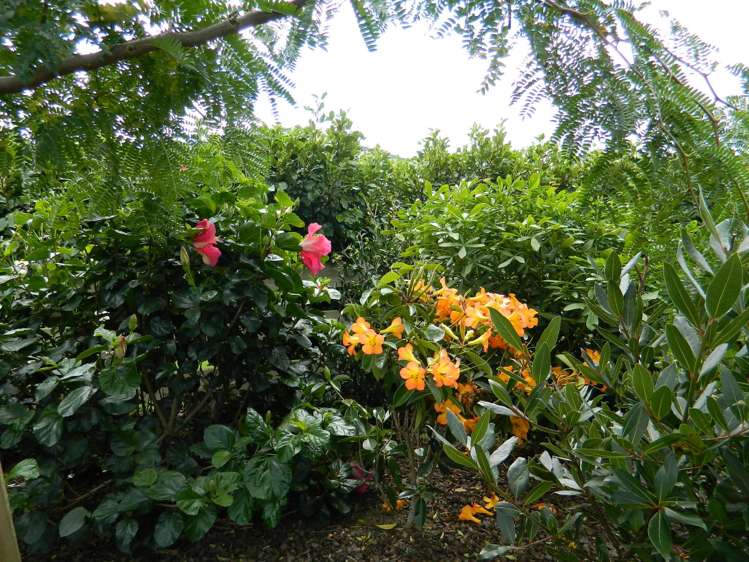 10 Awhitu Road Kerikeri_17