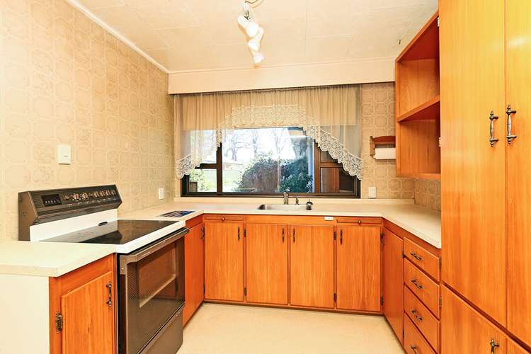 511a Cornwall Road Mahora_6