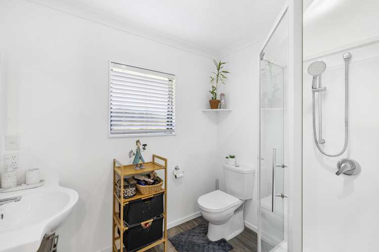 2252 SH29 Lower Kaimai_10