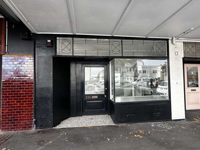 236A Jervois Road Herne Bay_1