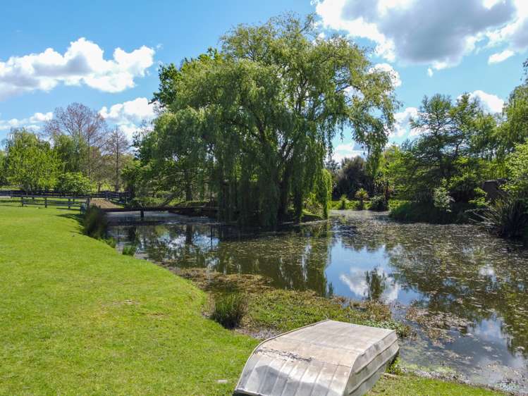 1/19 Molly Lane Te Awamutu_17