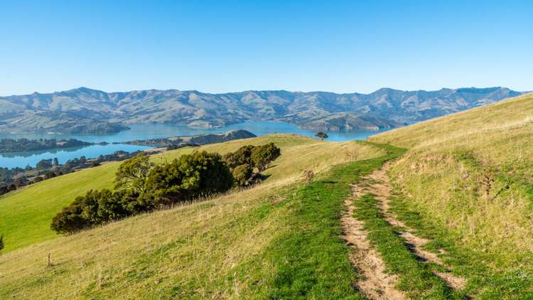 5162 Christchurch Akaroa Road French Farm_34