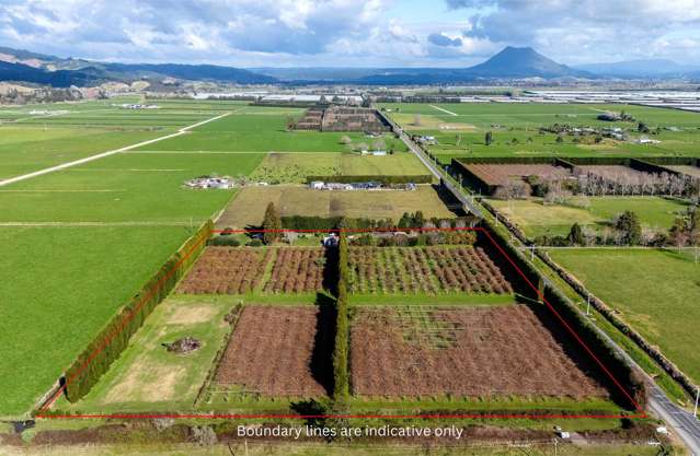 343 Western Drain Road Edgecumbe_2