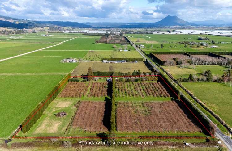343 Western Drain Road Edgecumbe_1