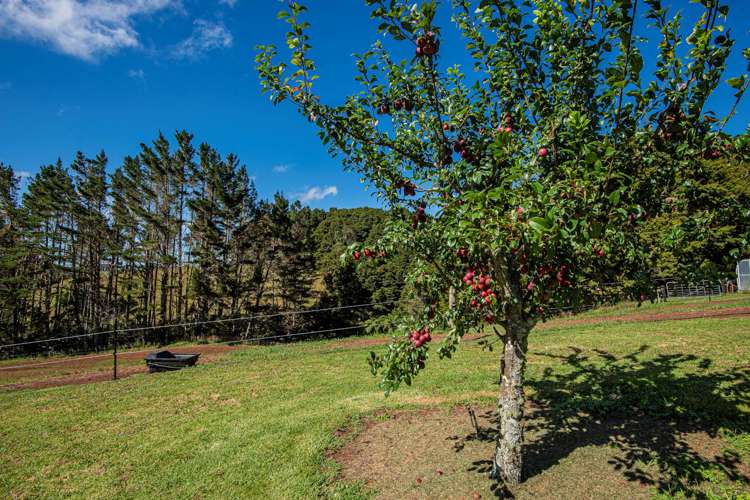 21 Going Road Matarau_32