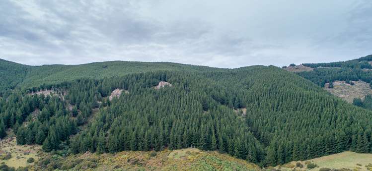 569 Mcqueens Valley Road Gebbies Valley_6