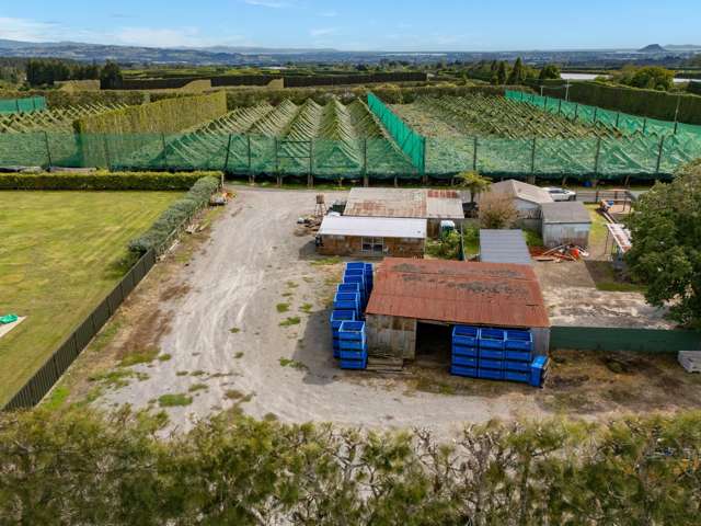 Sizeable Oropi orchard - 12.57 hectares