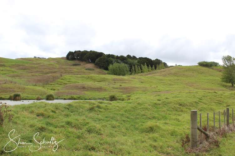 215c Heatley Road Whakapirau_25