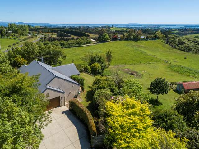 200 Ross Road Whakamarama_3