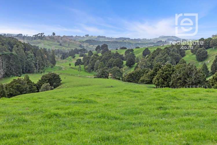 895 Wairamarama Onewhero Road_0