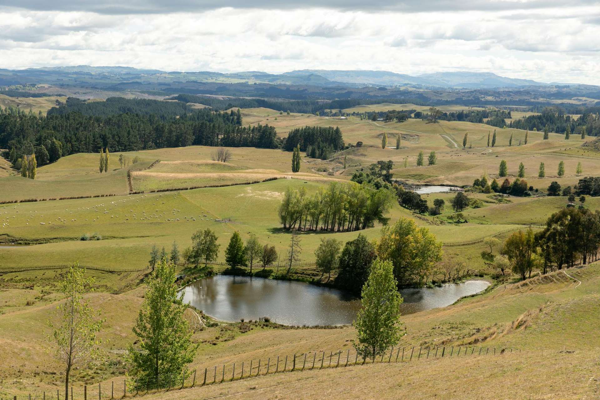 2412 Taihape Road Sherenden_0