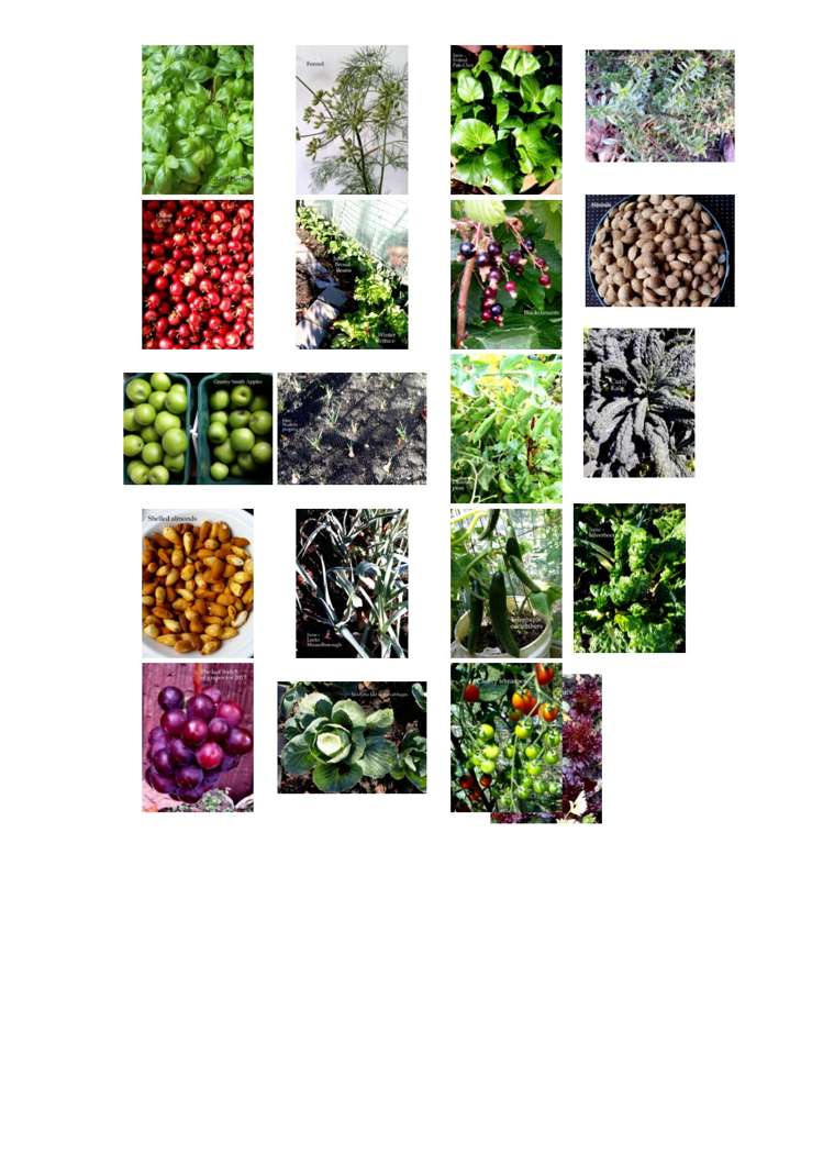 15 Cicada Place Hei Hei_22