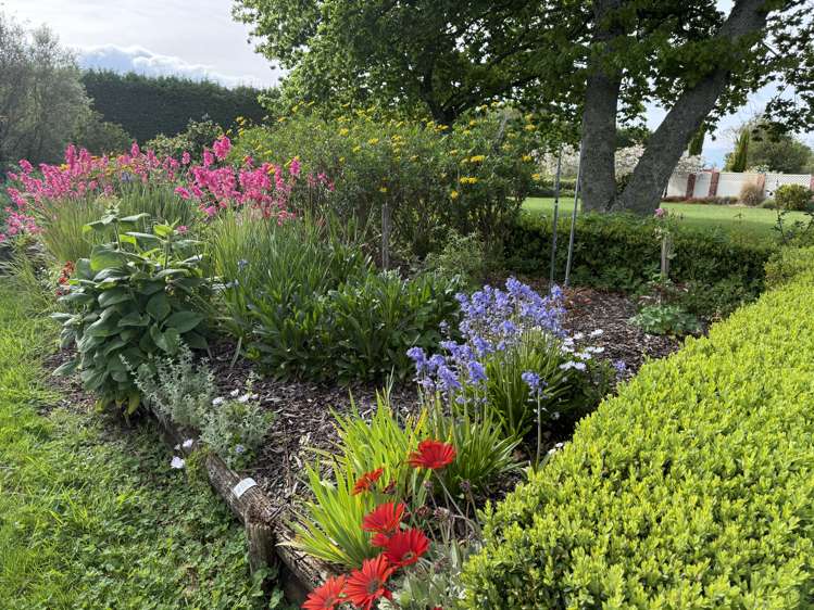 144 Loop Line Masterton_15