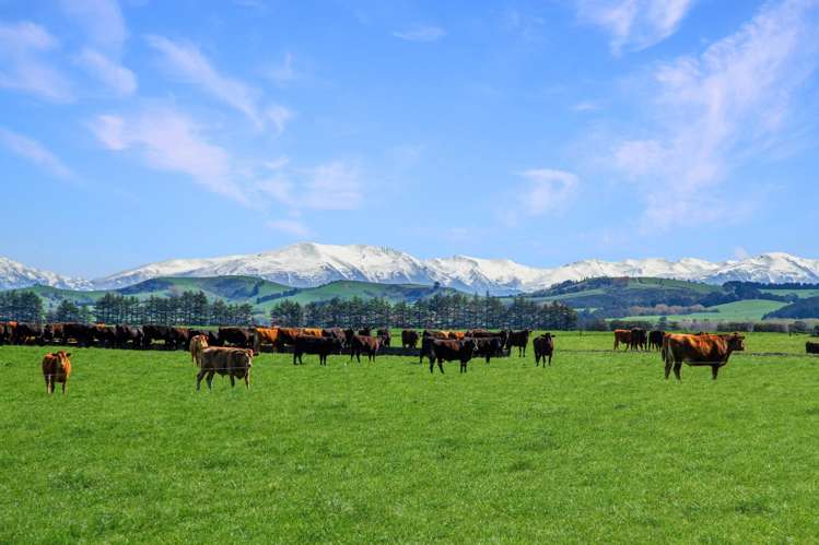 56 Opihi Terrace Road Pleasant Point_14