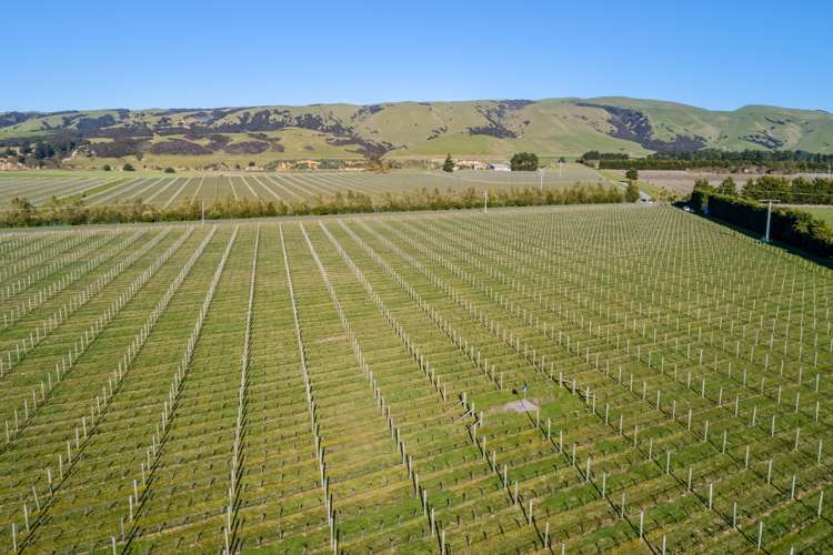 248 Te Muna Road Martinborough_5