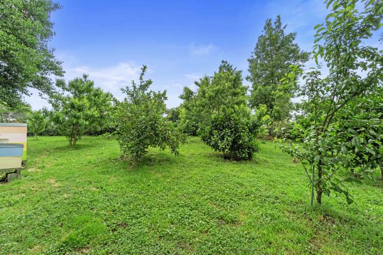 147 Kiroa Road Gordonton_23