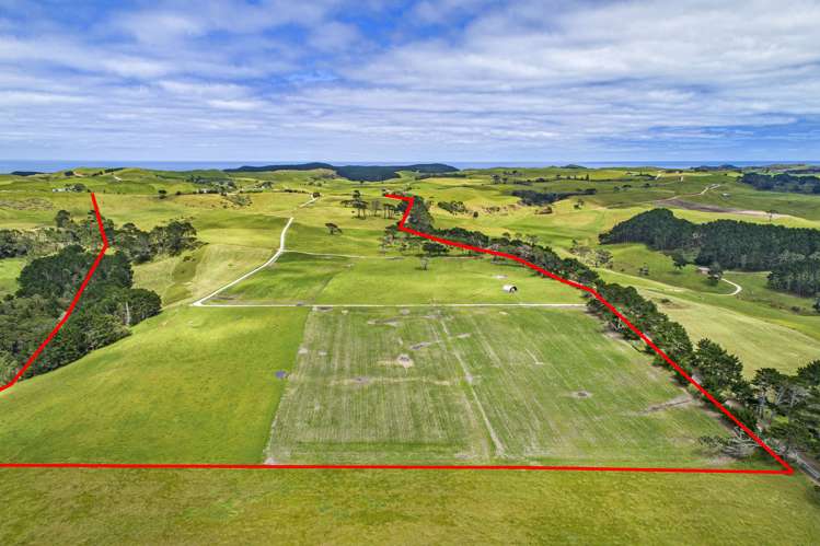 614 Te Maire Rd Te Kopuru_54