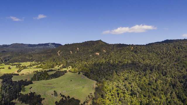 850 Rangihau Road Coroglen_3