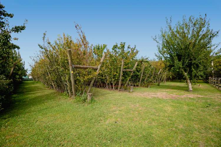 25 Wilson Road North Paengaroa_25