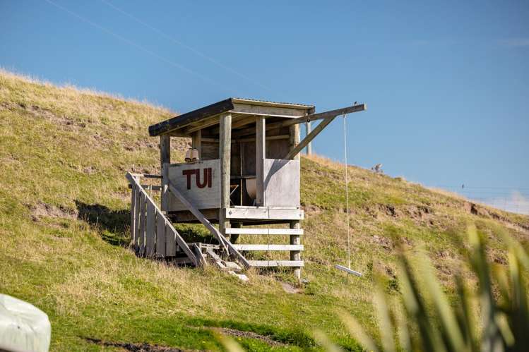 120 Mair Road Curio Bay_37