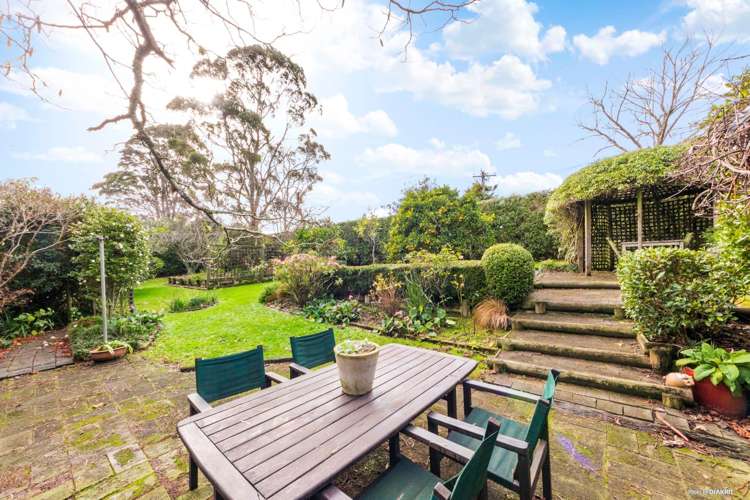 212 Ara-Kotinga Whitford_26