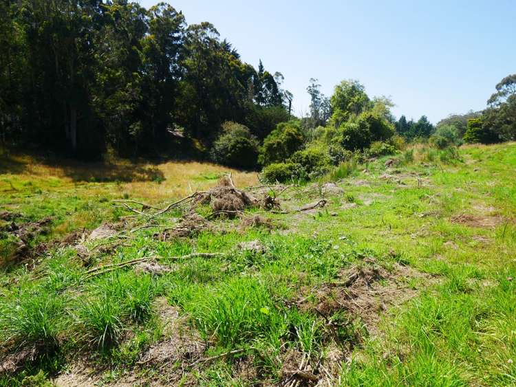 2705 Waikouaiti-Waitati Road Waikouaiti_18