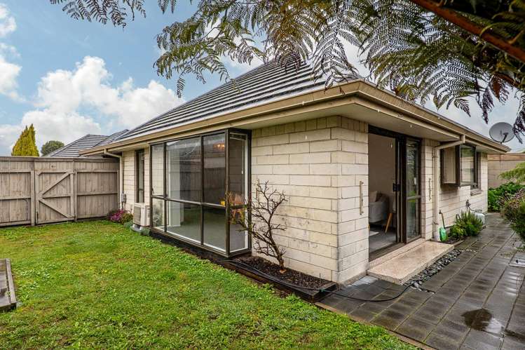 213b Colombo Street Sydenham_11