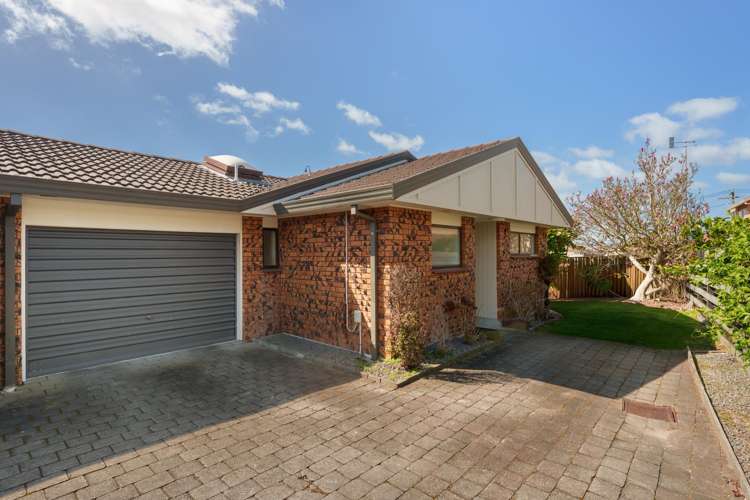 8B Shearman Grove Tauranga Central_5