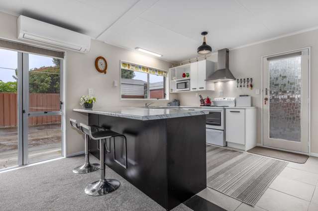 4/4 Princes Street Levin_3