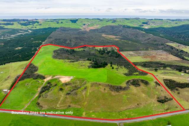 State Highway 12 Mamaranui_1