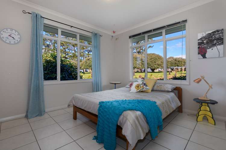 771 Whakamarama Road Whakamarama_23
