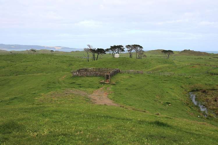 Sandhills Road Ahipara_21