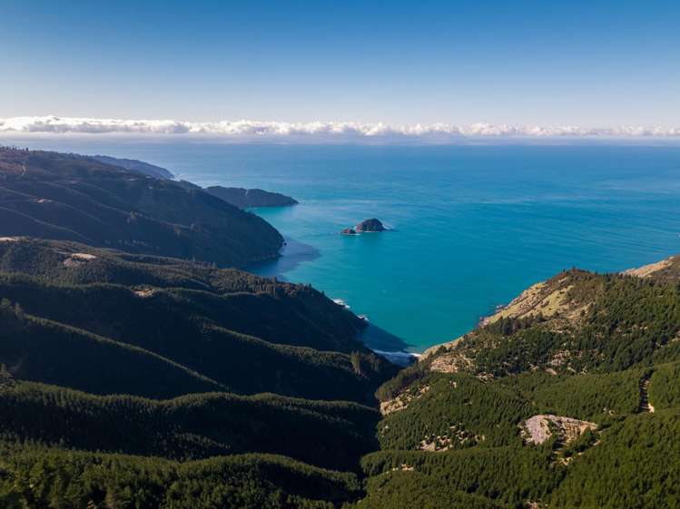 Queen Charlotte Forest, Onapua Bay Marlborough Sounds_9