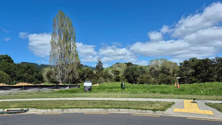 33 MATAIKOKAKO LOOP Kawakawa Bay_9