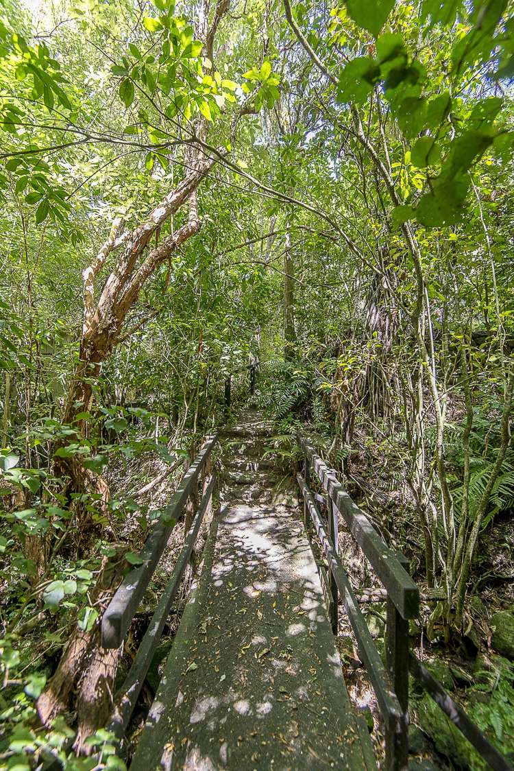 42 Zephyr Terrace Governors Bay_21