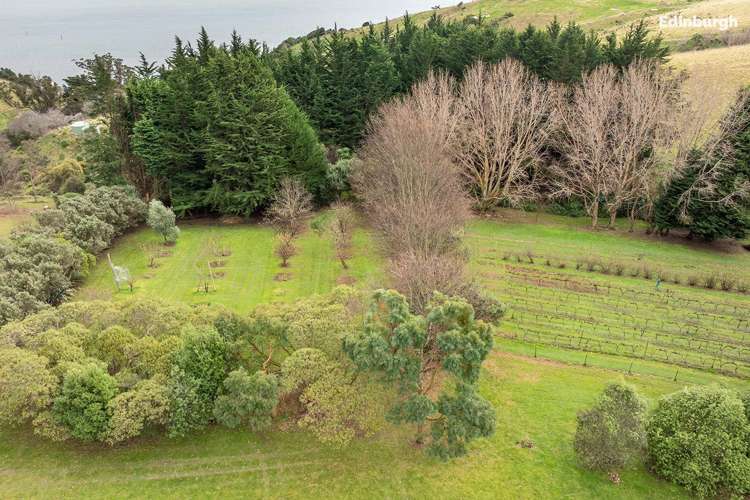 49 Raynbird Street Company Bay_45