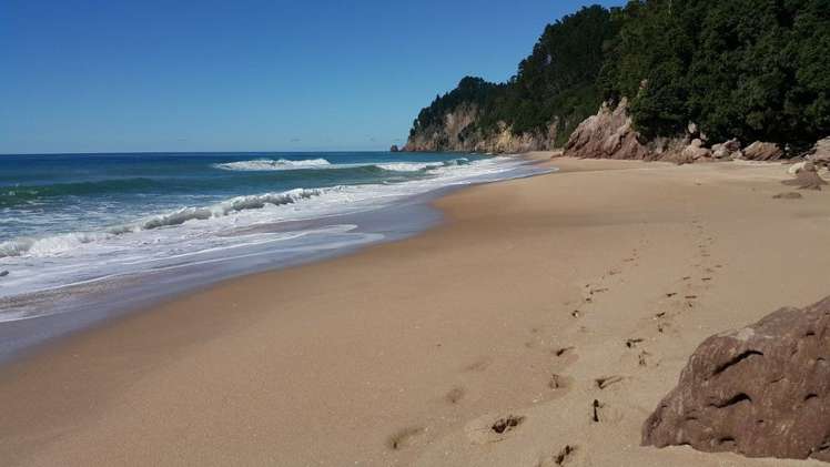 162g Whitipirorua Road Onemana_5