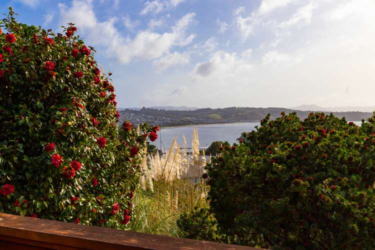 20 Fidelis Avenue Snells Beach_13