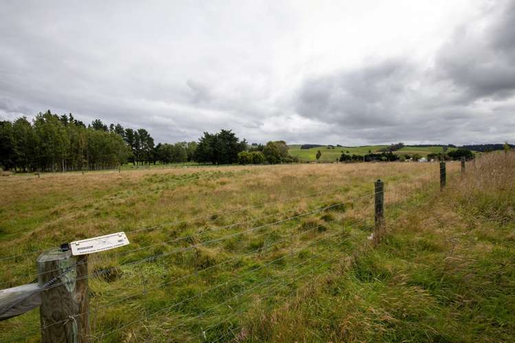 657 Domett Road Domett_39