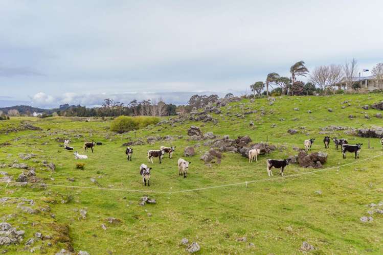 858 Kerikeri Inlet Road Kerikeri_17