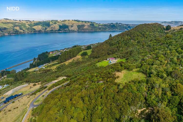 66 Kakapo Street Saint Leonards_8