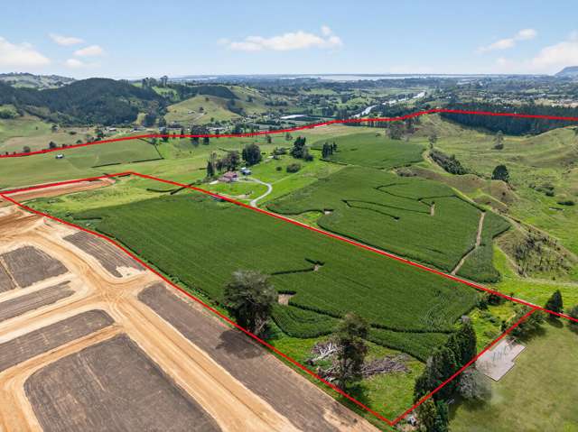 764 SH 29 Ferncliffe Farm Tauriko_1