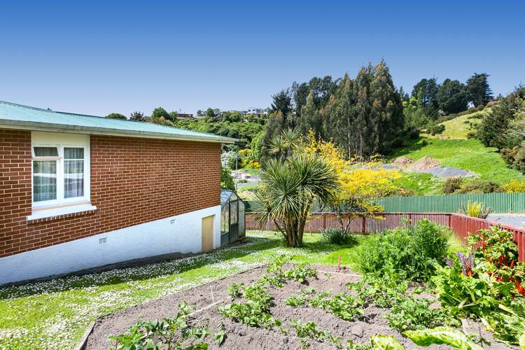 131 District Road Green Island_17