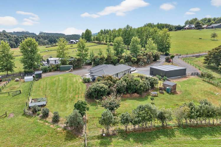 228 Knight Road Ruatangata West_28
