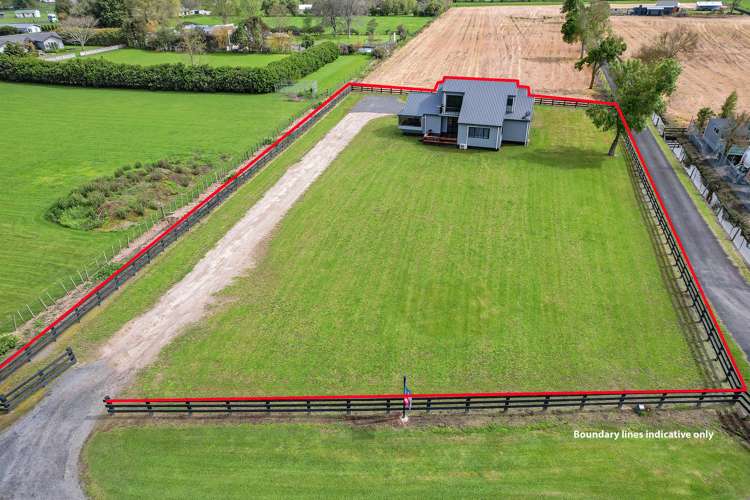 41 Campbell Street Waihou_17