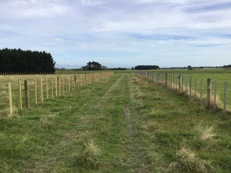 172 Stewart Road Feilding_7