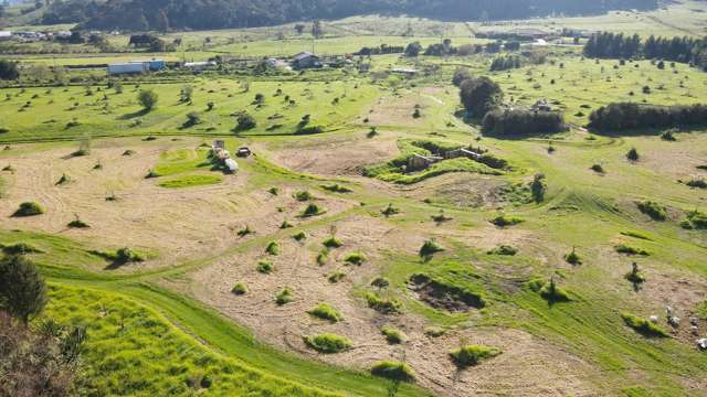 18 Neavesville Road Puriri_4