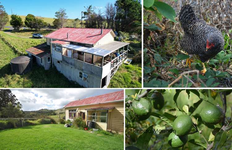 153 Pahi Road Paparoa_50